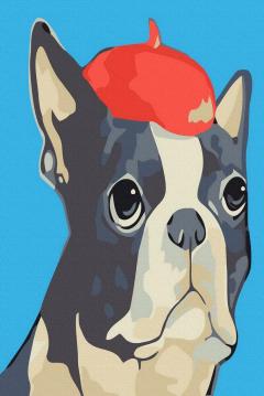 Set pictura pe numere - Catelus artist