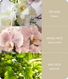 Difuzor de arome cu betisoare parfumate - Love Always