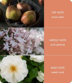 Parfum de camera - Angel Touch