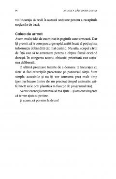 Arta de a gasi starea de flux