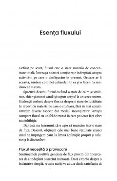 Arta de a gasi starea de flux