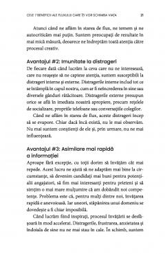 Arta de a gasi starea de flux