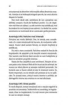 Arta de a gasi starea de flux