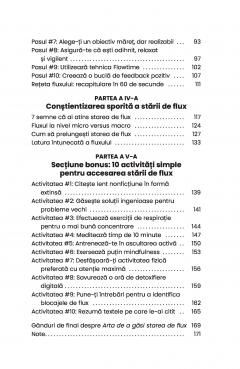 Arta de a gasi starea de flux