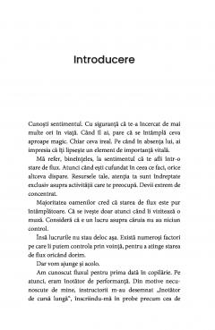 Arta de a gasi starea de flux