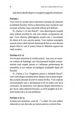 Arta de a gasi starea de flux