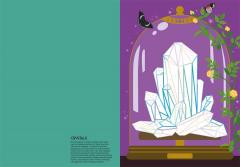 Animetrics Myth and Magic