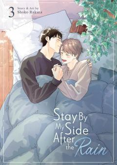 Stay By My Side After the Rain - Volume 3