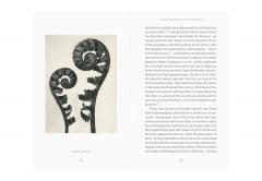 A Little History of Photography