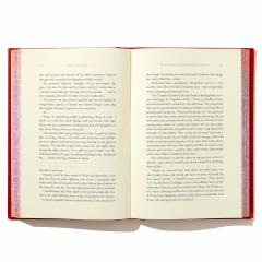 The Scorpion and the Night Blossom