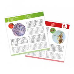 Set educativ - Lamele pentru microscop, 20 de mostre