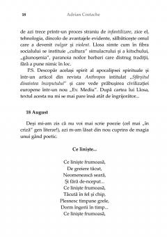 Sase luni de "Jurnal"