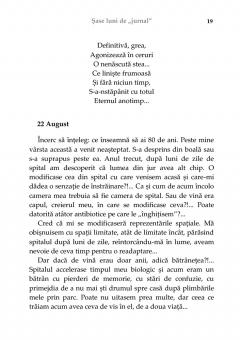 Sase luni de "Jurnal"