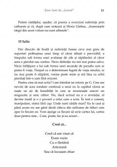 Sase luni de "Jurnal"