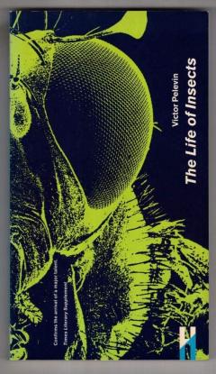 The Life of Insects