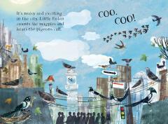 Little Robin's Book of Birds