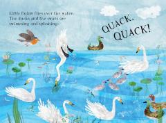 Little Robin's Book of Birds