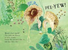 Little Bee's Book of Blooms