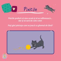 Pensula magica. Animalele mele preferate