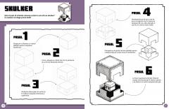 Minecraft - Cum sa desenezi 