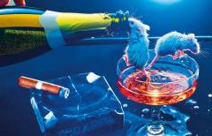 ToiletMiles PaperAldridge