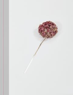 De Unul Singur / All Alone - Editie bilingva