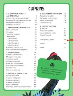 Fascinanta lume a creierului