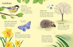 Things to Spot in Springtime