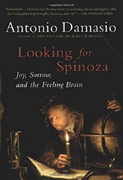 Looking for Spinoza
