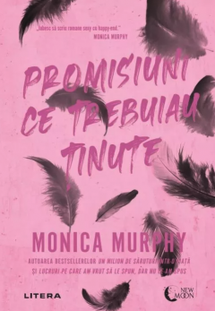 Promisiuni ce trebuiau tinute