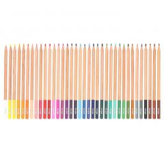 Set 36 Creioane colorate Strigo - Artist