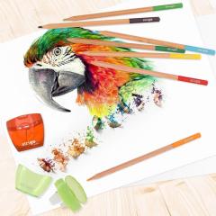 Set 36 Creioane colorate Strigo - Artist