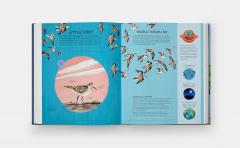 Nature's Tiny Champions