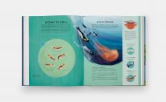 Nature's Tiny Champions