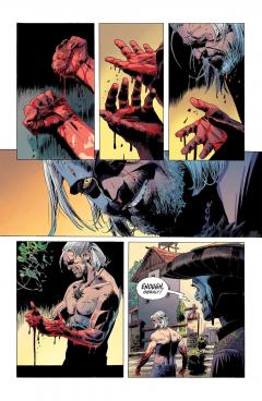 The Witcher - Volume 9