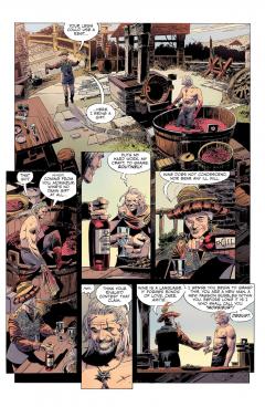 The Witcher - Volume 9