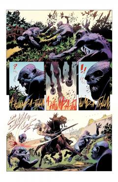 The Witcher - Volume 9