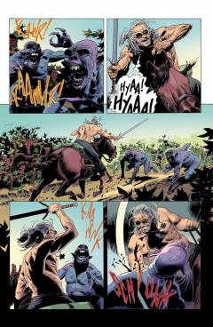 The Witcher - Volume 9