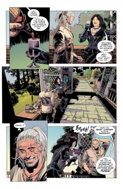 The Witcher - Volume 9