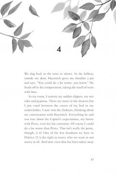 Catching Fire (Deluxe Edition)