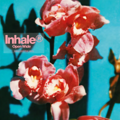 Open Wide (Pink Vinyl)