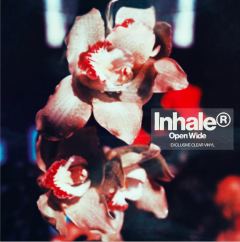 Open Wide (Clear Vinyl)