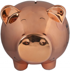 Pusculita - Futur Milliardaire