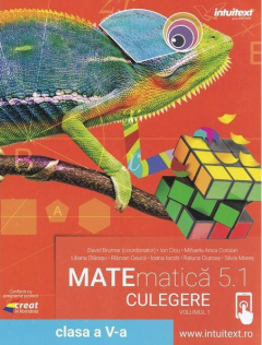 Matematica 5.1 - Culegere pentru clasa a V-a, Volumul 1