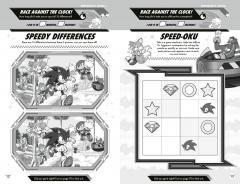Sonic the Hedgehog - Gotta Go Fast Puzzle