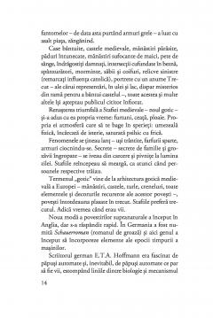 Ochiul negru al fluviului