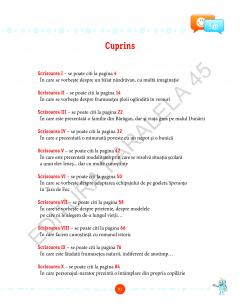 Scrisorile verii - Caiet de antrenament pentru Limba si literatura romana, clasa a VII-a