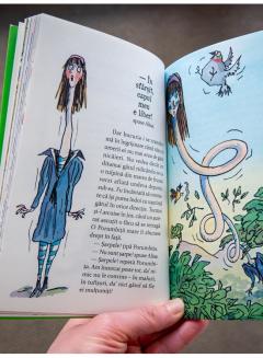 Aventurile Alisei in Tara Minunilor