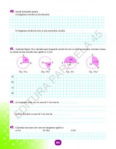 Matematica - Caiet de vacanta, clasa a VII-a