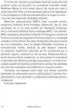 Medicina holistica si Matricea Extracelulara